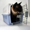 Tragbare Air China Haustiertransportbox: Katzen- & Hundekäfig für Reisen