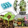 12-Zellen Anzuchtschale Wiederverwendbares Pflanzenkeimungs-Kit Für Gewächshaus Und Garten Anzuchttöpfe Zubehör