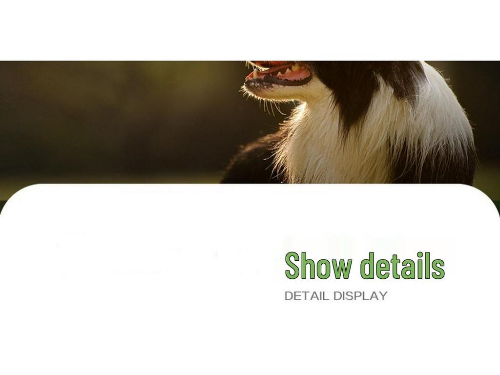 Pet Training Sniffing Mat – Bite-Resistant Puzzle Toy for Cats and Dogs