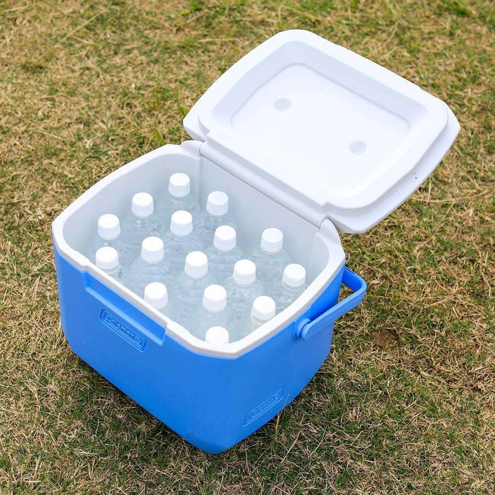 Coleman Excursion Cooler 16QT Daydream