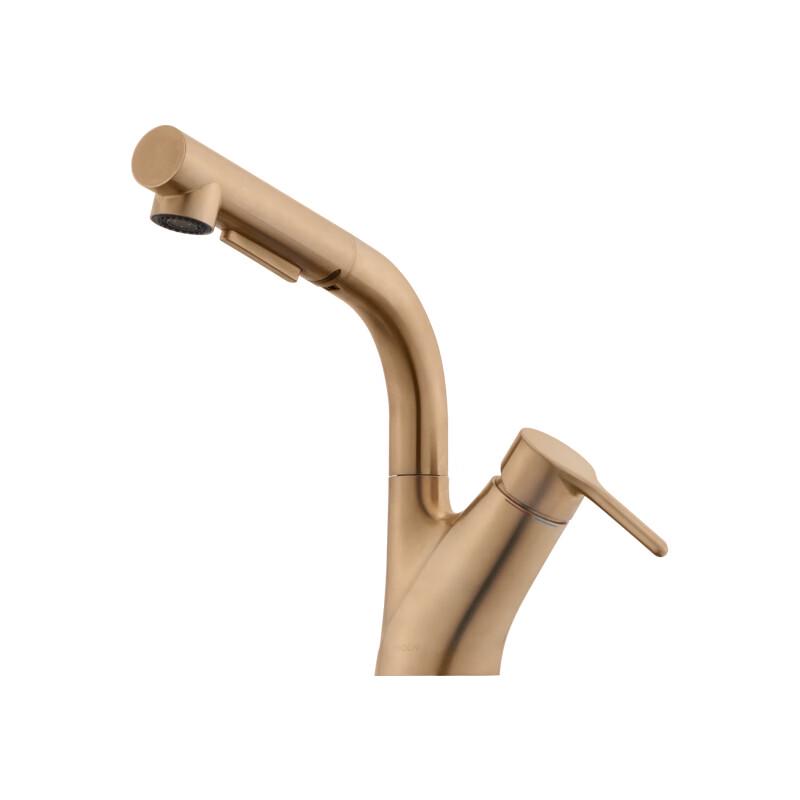 Moen Carey Single-Handle Pull-Out Basin Faucet