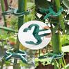 20Pcs Plant Fixed Clips Reusable Garden Greenhouse Bracket for Fixed Plants Vine Flower Seedling Stem Suppor t Garden Supplies