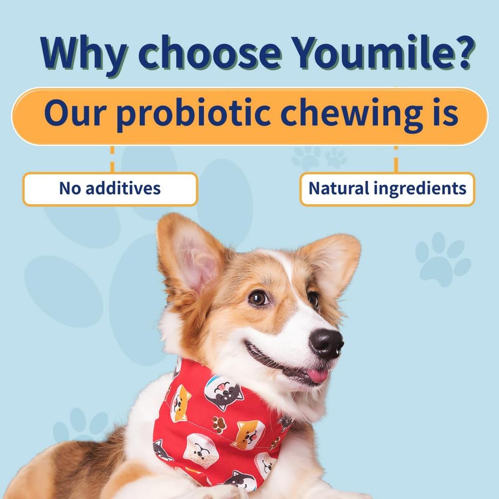 Pet Probiotic Chewable Tablets A Variety Of Enzyme Blends To Promote Intestinal Digestion Health Supplements For Dogs