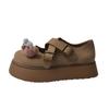 Japanese Cute Puppy Round Head Platform Mary Jane Shoes Women's Spring and Autumn 2025 New Retro Matte Versatile Single Shoes