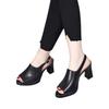 Fashion Cool Boots Women's Summer New Sandals Women's Thick Heel Fashion Trend Fish Mouth High Heel Rear Empty Buckle