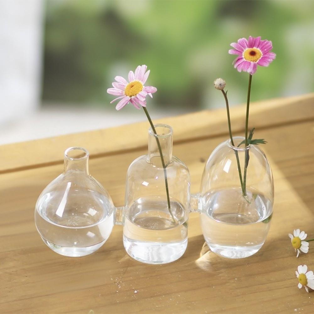 Transparent Glass Vase Triple Connected Plant Terrarium Clear Flower Vases Indoor Propagation