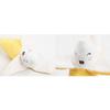 Ding Dong Pet Dog Toy Stuffed Carrot 8 x 16 cm + Banana 7 x 15 cm + Eggplant 6 x 15 cm + Tomato 7 x 10 cm, mixed colors, 1 set