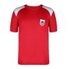 Childrens/Kids Wales T-Shirt