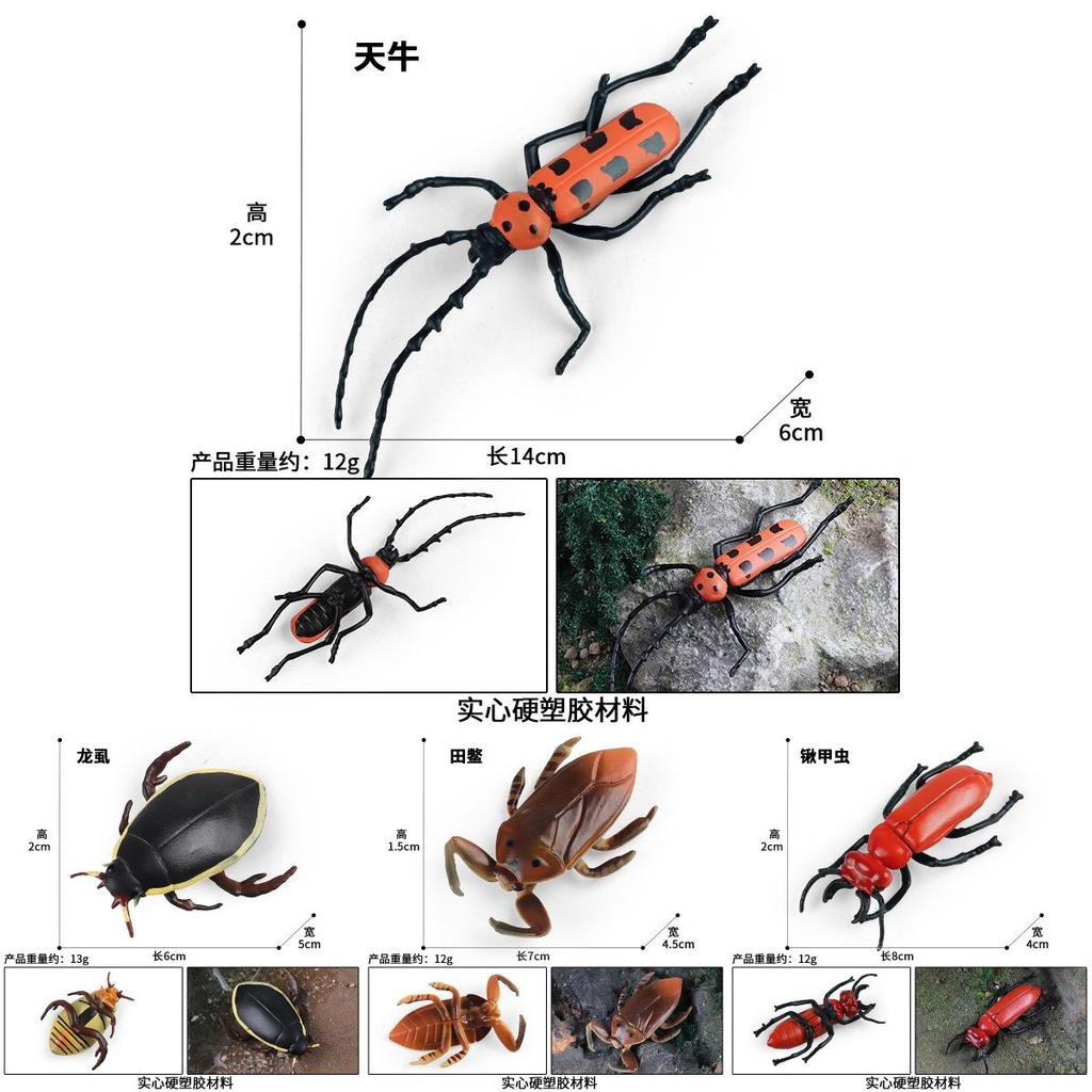 Insect Model Water Bug Toy With Plastic Material For Childrens Educational Play