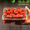 Handun Disposable Plastic Fruit Containers
