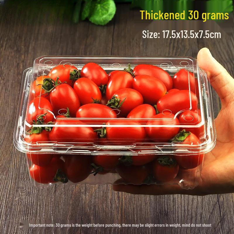 Handun Disposable Round Fruit Container