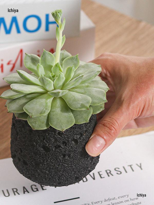 Nordic Cement Flower Pot - Creative Volcanic Rock Design, Breathable Indoor Succulent and Green Plant Planter.