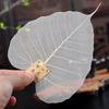 Japanese Leaf Tea Strainer