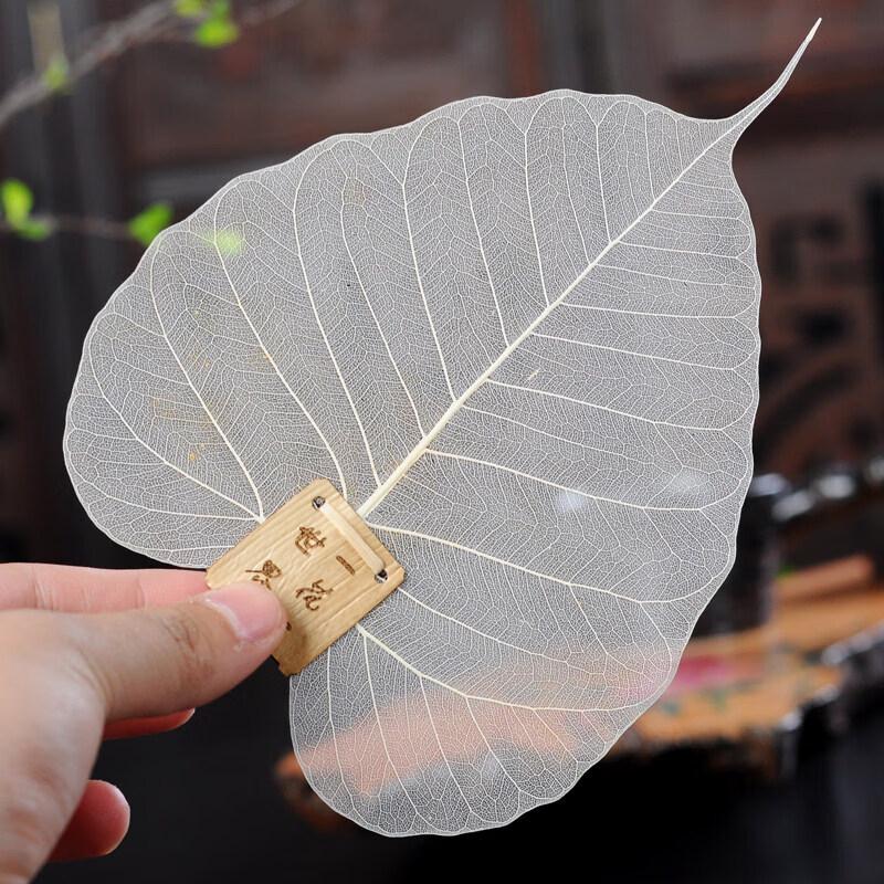 Japanese Leaf Tea Strainer