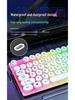 Luminous Punk Keycaps Wired Keyboard & Mouse Set for Gaming