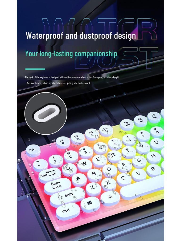 Luminous Punk Keycaps Wired Keyboard & Mouse Set for Gaming