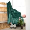 Blankets Flannel Super Soft Plush Comfortable Solid Color Coral Fleece Quilts Office Warm Nap Lightweight Knee Shawl Blanket