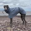 Spring and Autumn Outing Breathable and Comfortable Dobbin Dog Clothes Casual Warm Pet Raincoat Leisure Dog Cloak Raincoat