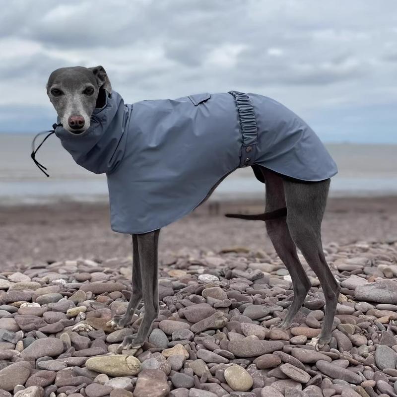 Spring and Autumn Outing Breathable and Comfortable Dobbin Dog Clothes Casual Warm Pet Raincoat Leisure Dog Cloak Raincoat