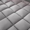 Three-Dimensional Down-Like Mattress Pad - Hotel Quality, Thick, for Dorms, Singles & Doubles, Lamb Wool
