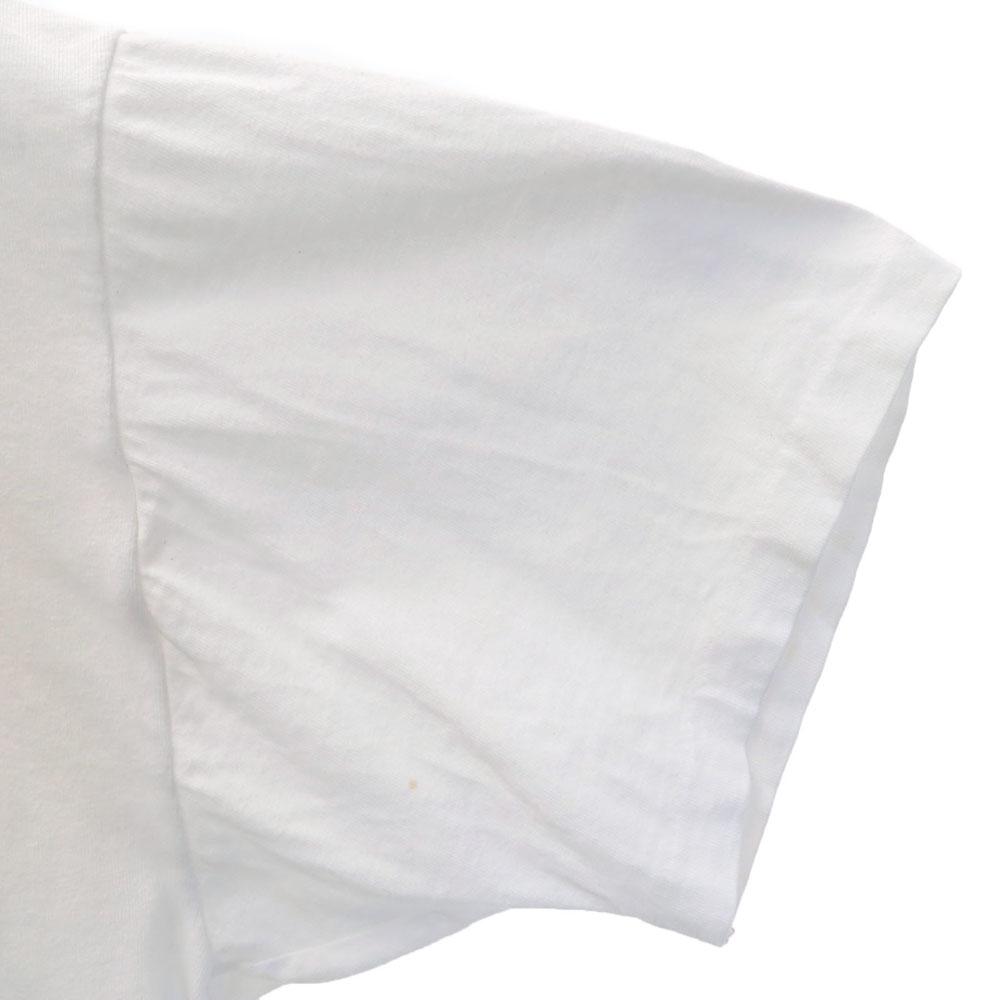 Hanes 90s Lighthouse print Short sleeve Single stitch T-shirt Old vintage Men's Used