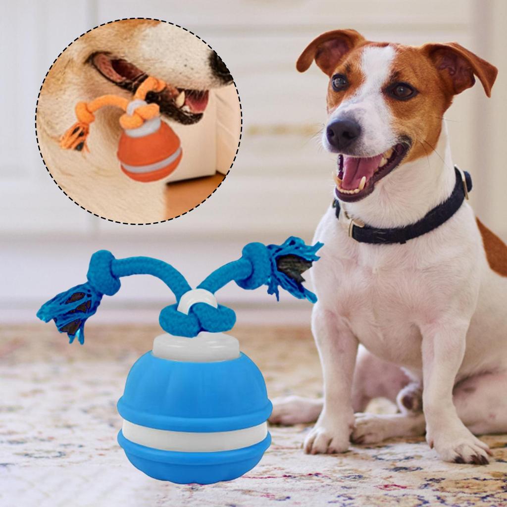 Cat Dog Interactive Toy Ball with Rope Bite Resistant Chewing for Indoor Outdoor Travel Lawn