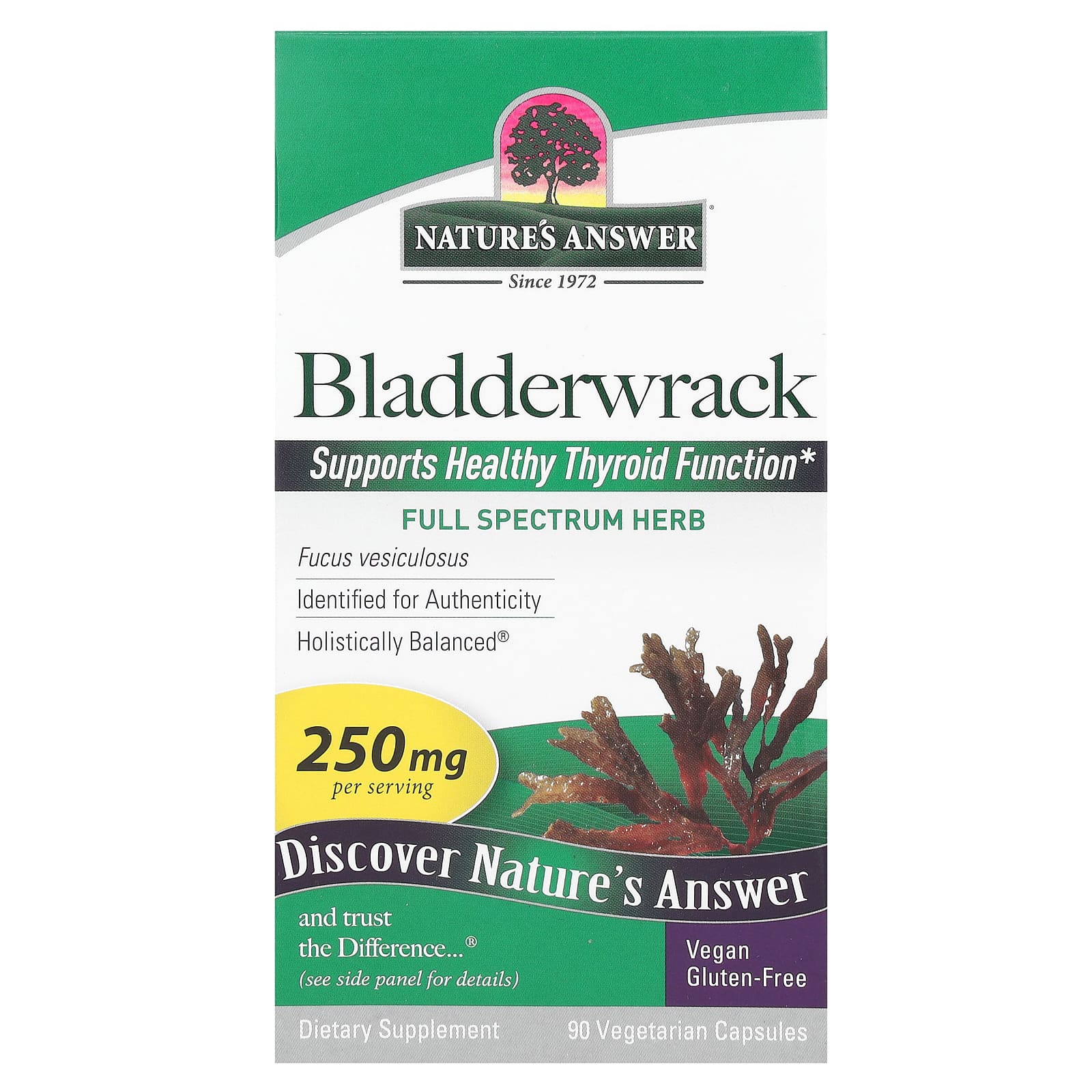 

Nature S Answer, Bladderwrack, 250Mg, 90 Veggie Caps