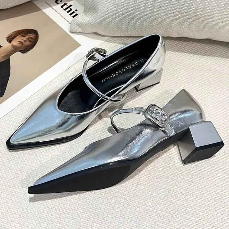 2024 Spring Style Pointed Toe Versatile Style Single Shoes Square Heel Women's Shoes Medium Professional Dress French High Heels