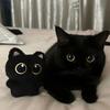 1PCS SCute Big-eyed Black Cat Squeaking Interactive Cat Toy