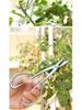 Tender Leaf All-Steel Pruning Shears: Floral, Bud, and Bonsai Scissors for Horticulture and Art