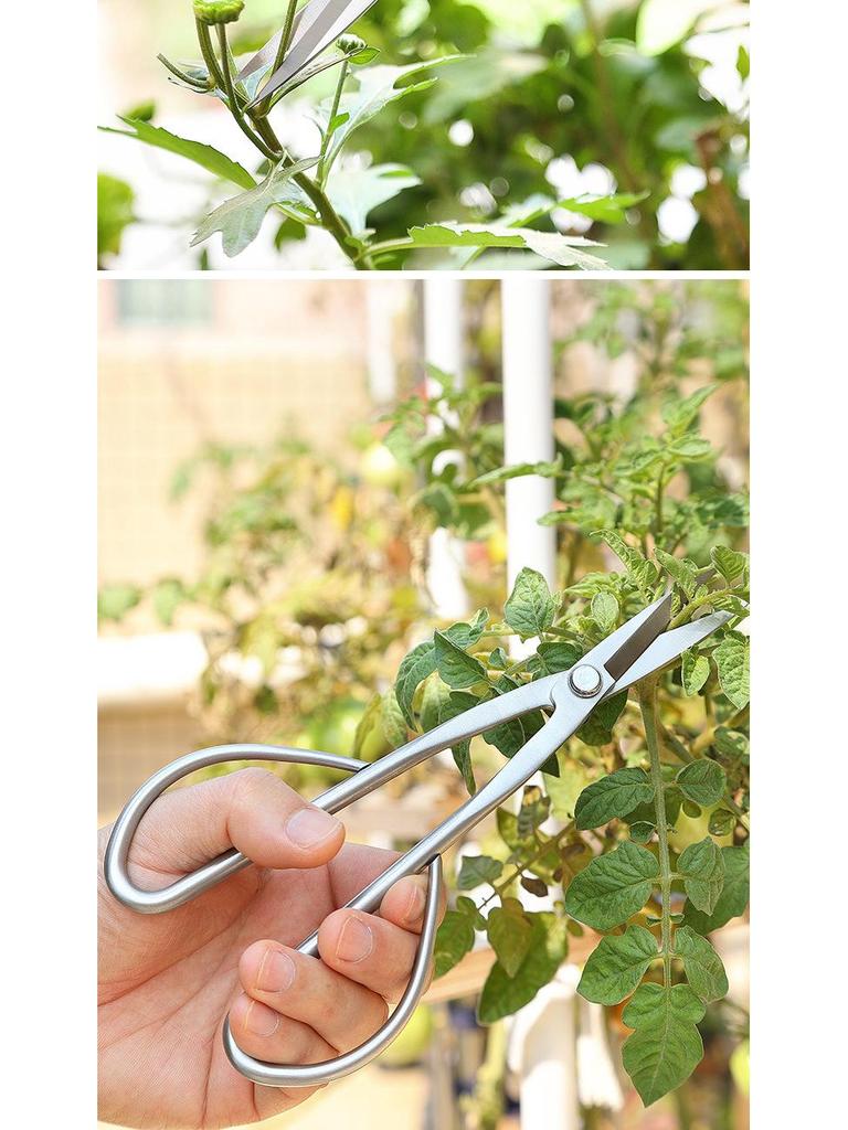 Tender Leaf All-Steel Pruning Shears: Floral, Bud, and Bonsai Scissors for Horticulture and Art
