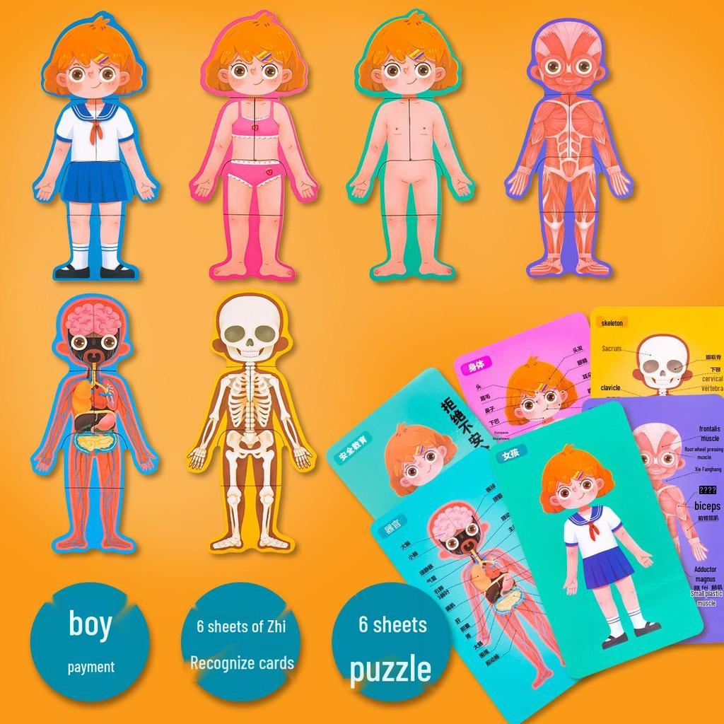 Holz Anatomie Puzzle: Kleinkind-Lernspielzeug zur Selbstwahrnehmung und zum naturwissenschaftlichen Lernen