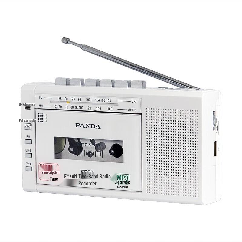 Enregistreur Cassette Portable PANDA 6503 avec Radio AM/FM et Lecteur MP3 Prise CN (adaptateur inclus)