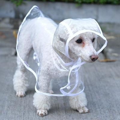 Haustier Regenmantel Transparentes Druckknopfdesign Kapuze Minimalistisch Winddicht Weiche Hunde Regenbekleidung Haustier Regenausrüstung Regenzubehör