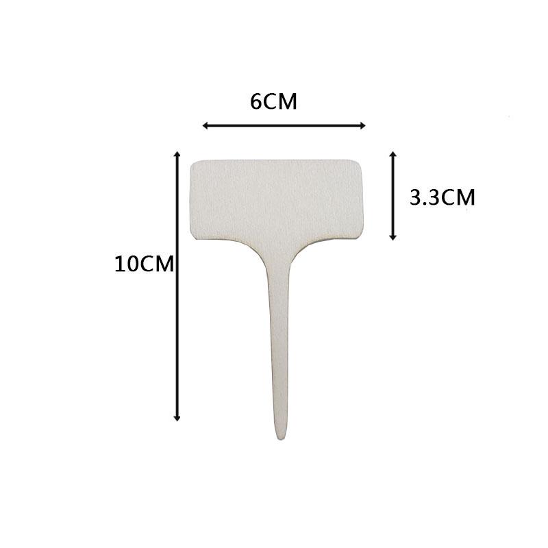 10/20/30 Stück Pflanzenidentifikations-Gartenschilder Pflanzenbeschriftungskarten Etiketten für Gartenpflanzen ZWBQP01