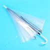 Transparent Straight Handle Umbrella (2-Pack)