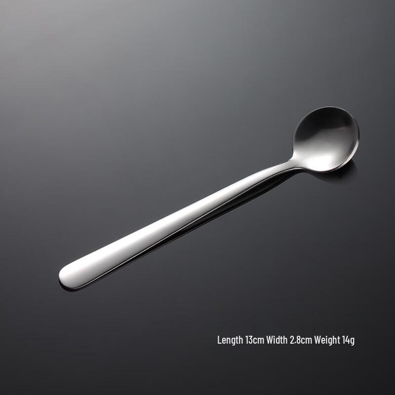 Qianxing 304 Stainless Steel Spice Jar Spoon