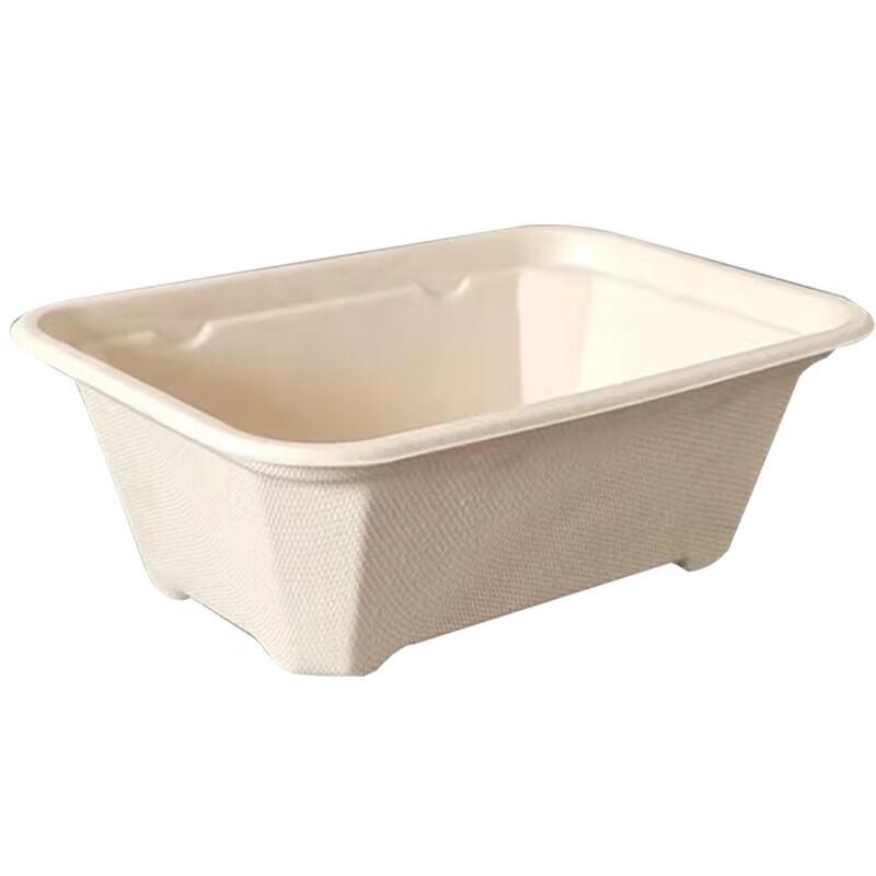 Biodegradable Square Disposable Takeaway Lunch Box