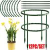 12pc/SET Plastic Plant Support Pile Stand for Flowers Greenhouse Arrangement Rod Holder Orchard Garden Bonsai Tool
