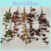 Money Leaf Eucalyptus Stems For Indoor Outdoor Wedding Gift Decoration