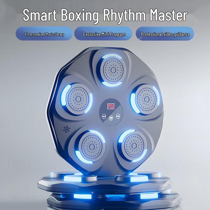 Bluetooth Music Boxing Wall Target