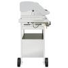 Gas Barbecue Grill with 4 Burners Silver Stainless Steel