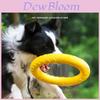 Pet Infinity Eva Hüpfball Wurfspielzeug für aktive Hunde und Welpen