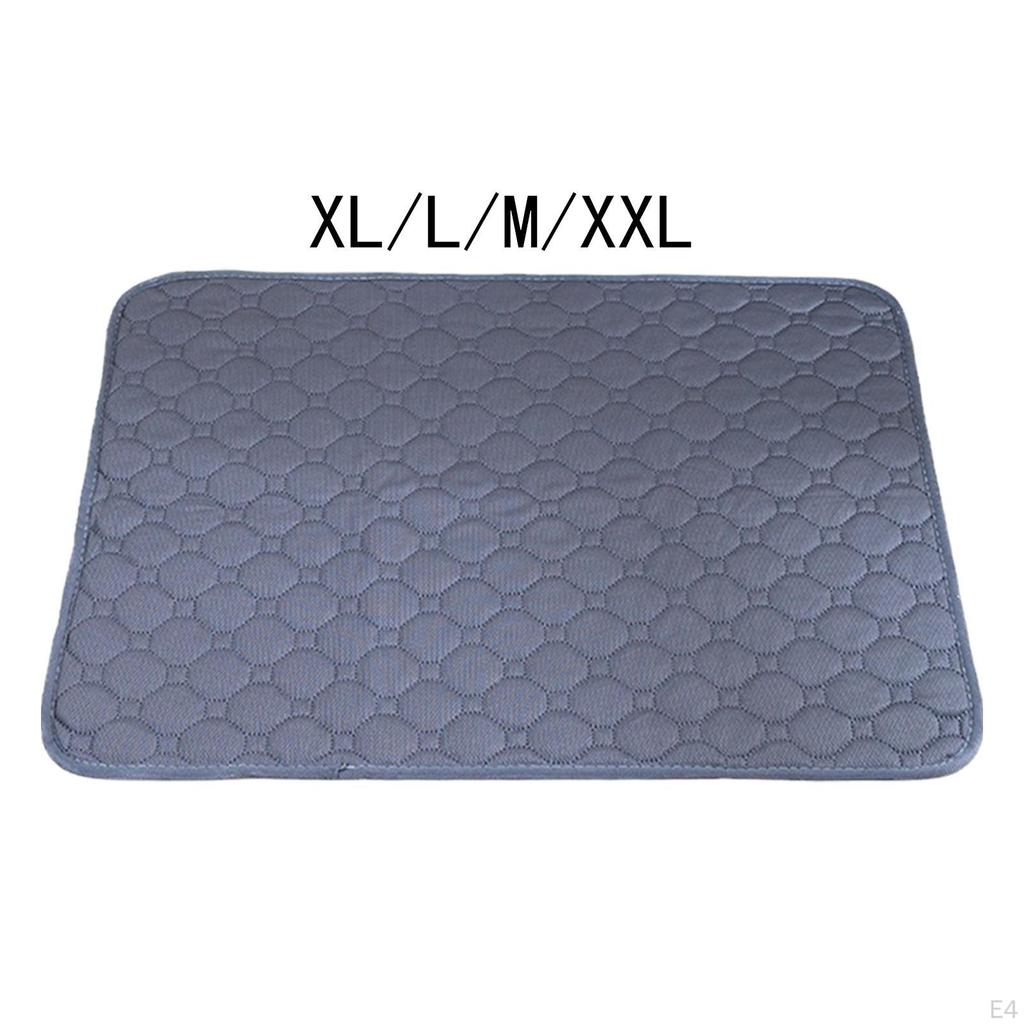 Reusable Dog Training Pad - Absorbent and Durable