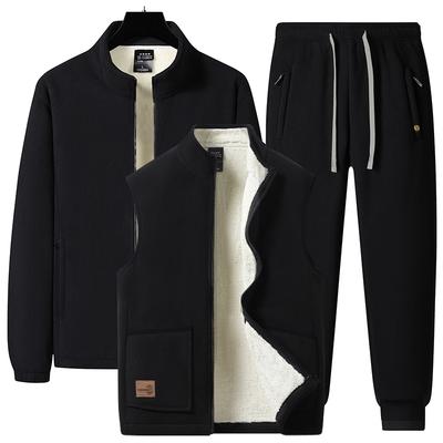 Thickened Fleece Fleece Lamb Wool Jacket for Middle-aged and Elderly, Arctic Fleece Men's Stand Up Collar Warm Casual Pants Men's Sports Suit