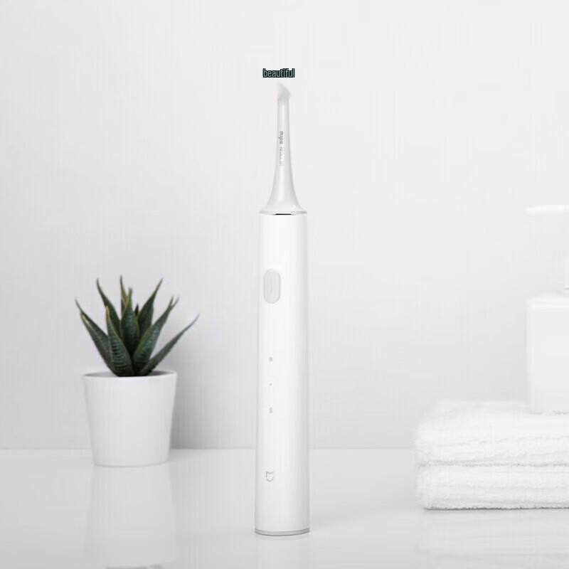 Xiaomi Sonic Electric Toothbrush T300