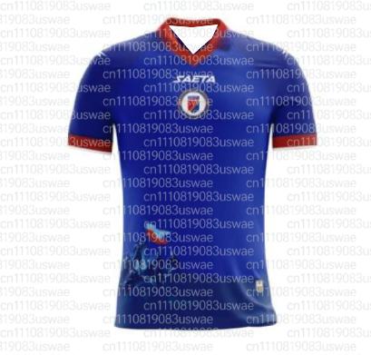 Haiti Voetbalshirt met Korte Mouwen voor Fans Heren T-shirt 3D Geprint Buiten T-shirt voor Herenkleding Buiten T-shirts