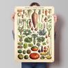 Jardin Botanique Légumes Boîtes en Fer Blanc Posters Art Mural Personnalisable Panneaux Métalliques Rétro Vintage pour Décoration de Maison Chambre Garage Cosy
