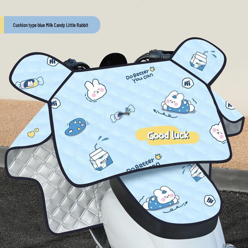 Electric Vehicle Windshield & Seat Cover One Size