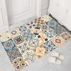 Entrance Mat Bathroom Waterproof Carpet Dirt Resistant Mat Household Foot Mat Door Mat